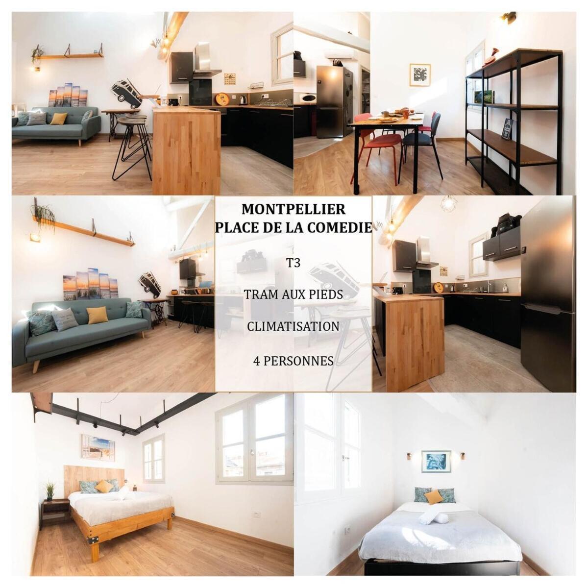 Apartment Le Gaby - Climatisation Place De La Comedie *